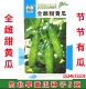 东北旱黄瓜种子 节节有瓜 全雌甜黄瓜种子5克