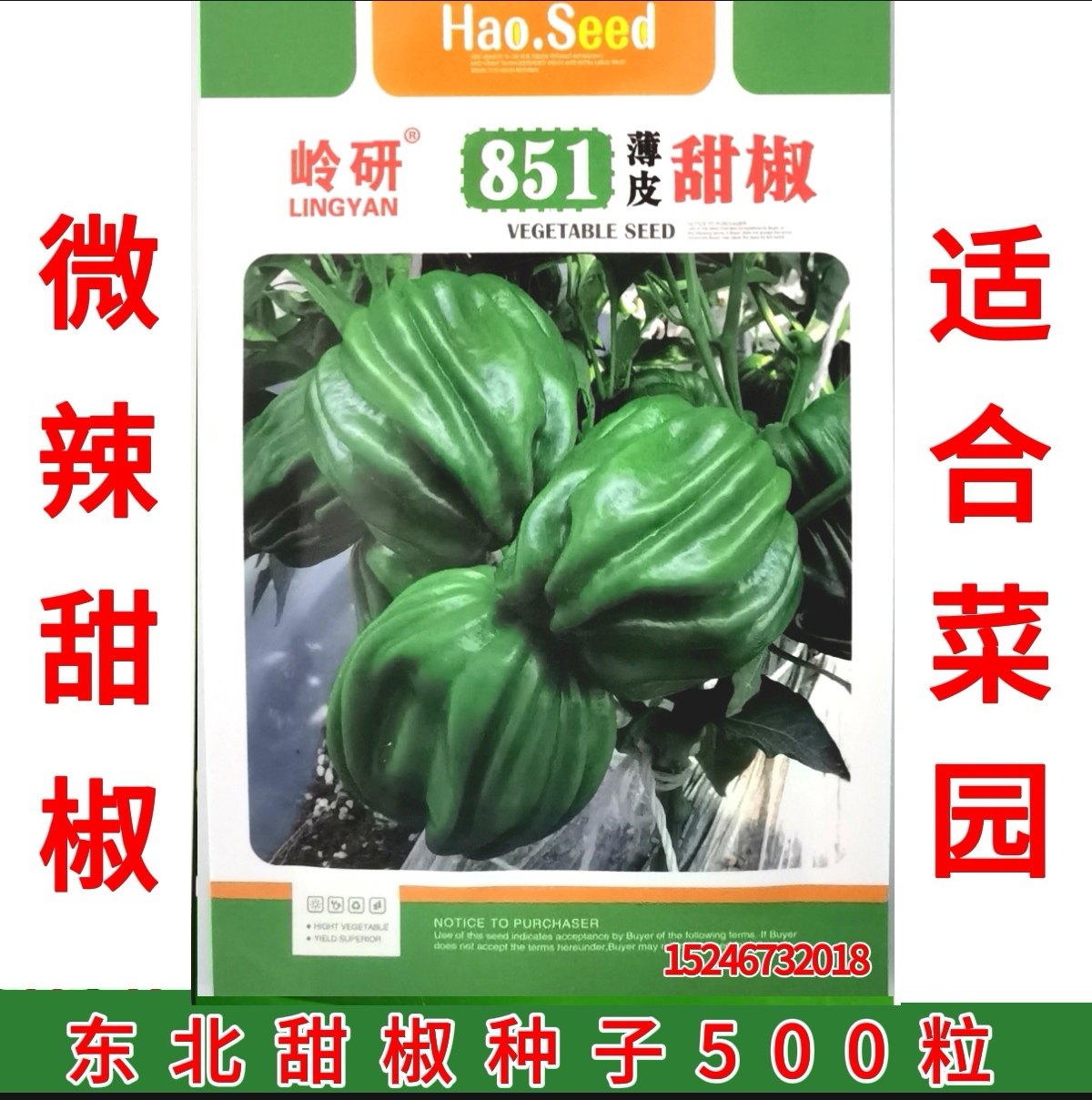东北菜椒 大辣椒 微辣适合菜园 甜椒种子500粒,鲜花速递/花卉仿真/绿植园艺,家庭园艺种子,淘宝优惠券,粉丝福利购,淘宝优惠卷