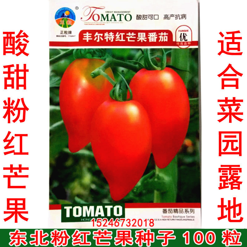 新东北粉红芒果西红柿种子菜园露地 酸甜芒果番茄种子100粒