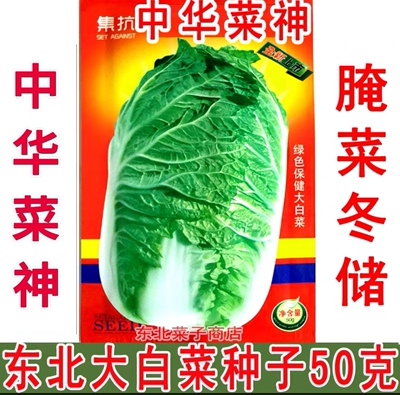 东北大白菜种子 中华菜神  腌菜冬储 秋白菜种子50克