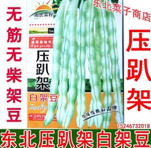 新东北长白豆角种子 九粒白 架豆王 压趴架白架豆种子