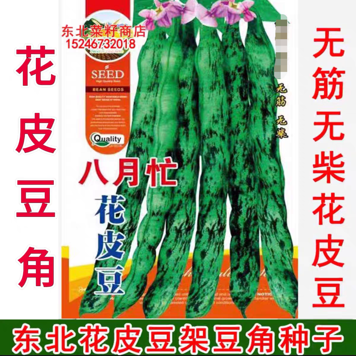 新籽东北架豆角菜豆种子 原装 架豆王 八月忙花皮豆 豆角种子,鲜花速递/花卉仿真/绿植园艺,家庭园艺种子,淘宝优惠券,粉丝福利购,淘宝优惠卷