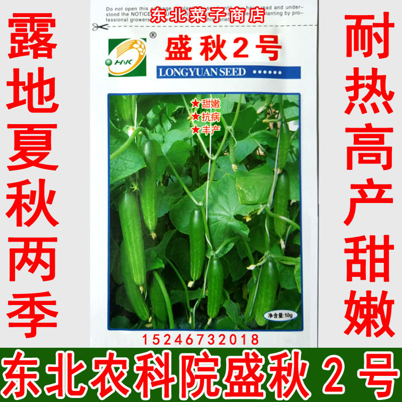 新东北旱黄瓜种子 原厂耐热 夏秋季露地 盛秋2号旱黄瓜种子10克在类目 农用物资, 种子/种苗, 蔬菜种子中 - 来自Buy2taobao.com提供专业的淘宝代购服务