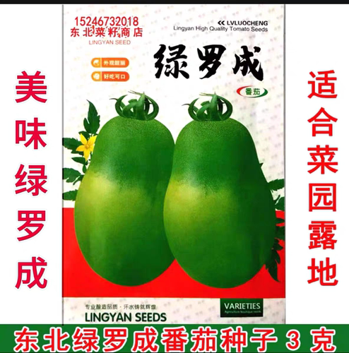 新东北牛奶绿柿子 绿宝石 绿色 贼不偷 绿罗成 青苹果番茄种子 - 封面