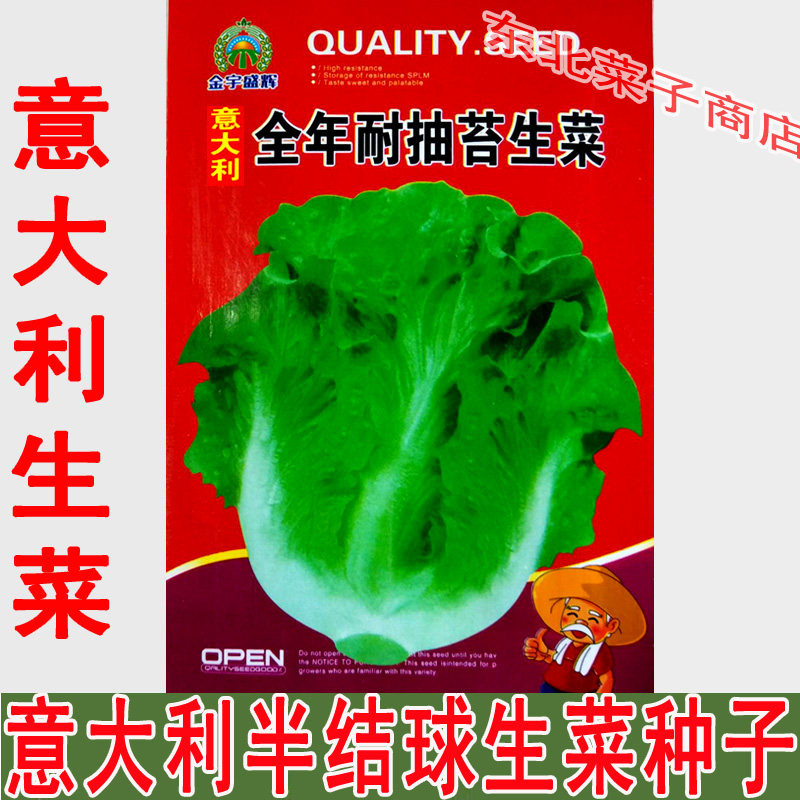 新种子 东北生菜种子 原厂袋装 美观美味  意大利半结球生菜种子