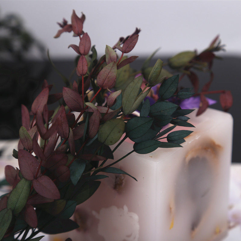 小叶尤加利枝叶 diy香薰蜡烛蜡片手工材料永生花点缀干花枝5克