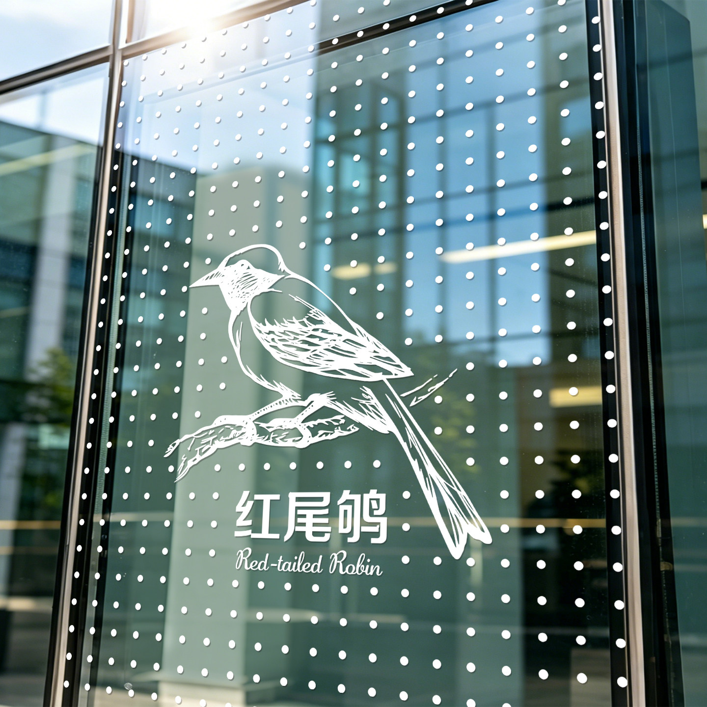 防鸟撞玻璃贴纸鸟类图案办公室商场护栏写字楼装饰定制公益活动