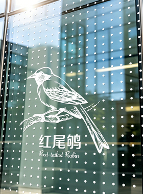防鸟撞玻璃贴纸鸟类图案办公室