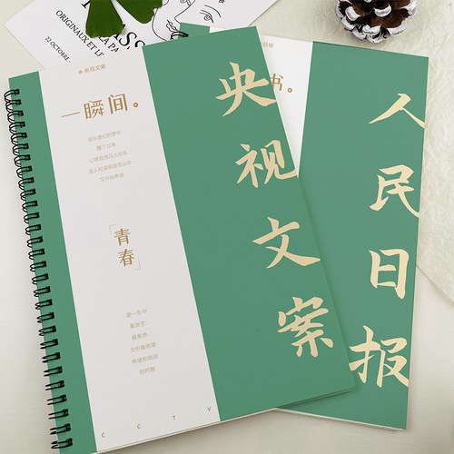 2024新 央视文案人民日报金句摘抄字帖行楷楷书成人练字女生漂亮