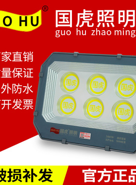 国虎9090投光灯led射灯户外照明防水工业车间厂房工地室外探照灯