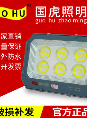 国虎9090户外防水LED投光灯
