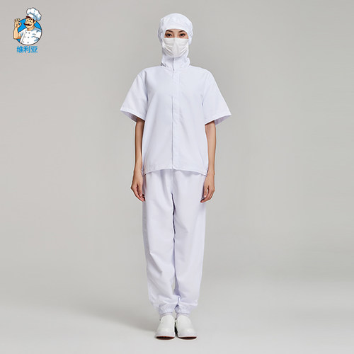 三夏防静电食品厂工作服