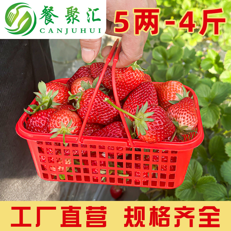 草莓采摘篮子塑料红色手提水果筐子杨梅篮樱桃桑葚塑料篮包邮