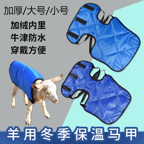 【羊羔过冬神器】新生小羊马甲