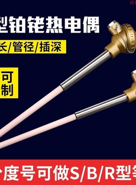 进口S型铂铑热电偶WRP-130/0-1600度高温刚玉管热电偶温度传感器
