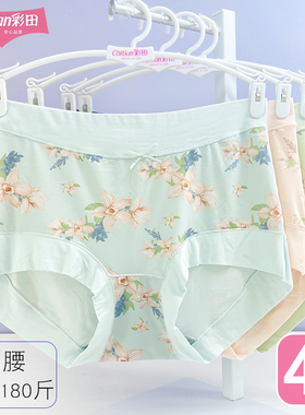 彩田花仙子高腰内裤女32708冰丝莫代尔包臀提臀收腹女内裤大码