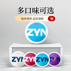 新老手 一盒包邮 5盒顺丰zyn系列口味糖唇风味含果袋瑞典正品