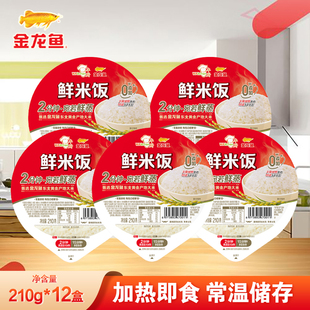 金龙鱼丰厨鲜米饭210g*12盒鲜饭方便速食免煮即食早餐加热食品