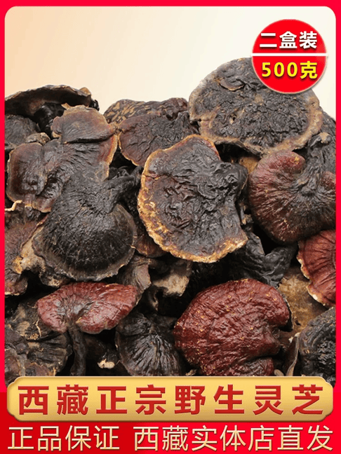 纯野生灵芝西藏正品干货林芝赤芝金边非孢子粉片礼盒装整枝500g克