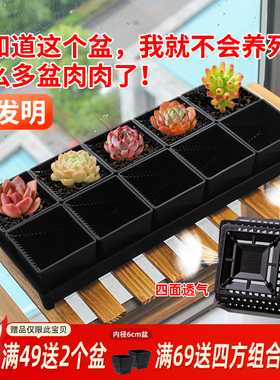 美莳多肉控根花盆长条形套装组合带托盘透气植物专用创意塑料包邮