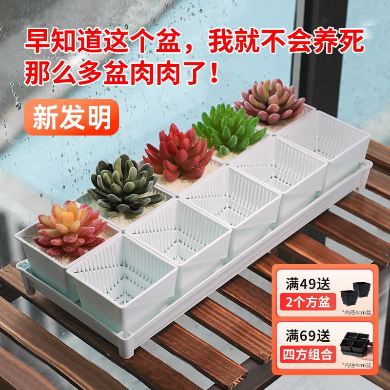 美莳多肉专用花盆小号白色树脂套装精致植物控根塑料架子底座托盘