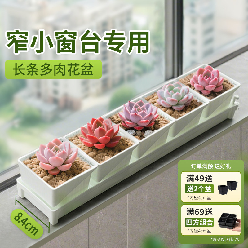 美莳长条形多肉花盆组合图片
