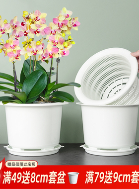 美莳蝴蝶兰专用花盆塑料透气控根盆白色组盆套盆营养钵育苗杯托盘