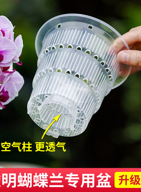 美莳高档育苗营养杯加厚硬植杯网树脂大口径镂空网石斛套盆带托盘