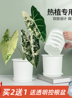 美莳双层热植专用花盆彩叶芋绿天鹅绒海芋花烛控根盆透气青山套盆