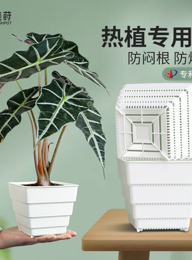 美莳热植专用花盆花烛彩叶芋海芋树脂塑料方形青山懒人透气控根盆