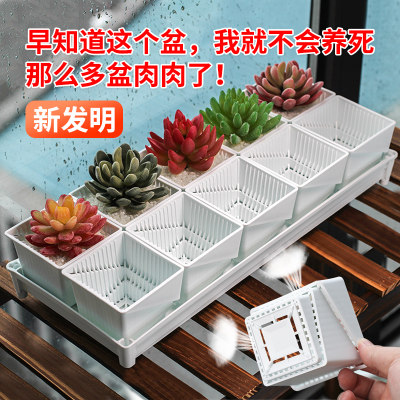 多肉花盆小号 价格 图片 淘宝天猫多肉花盆小号优惠商品大全 综合排行榜 虎窝淘