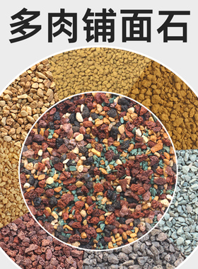 美莳多肉铺面石虹彩石硅藻土绿沸石赤玉土火山岩