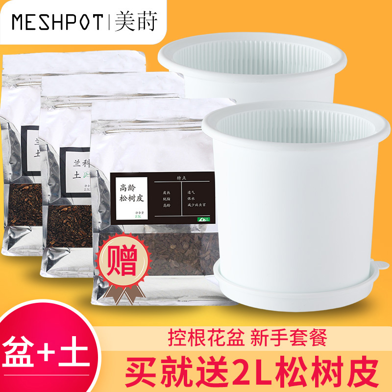 美莳蝴蝶兰控根花盆新手套餐含土