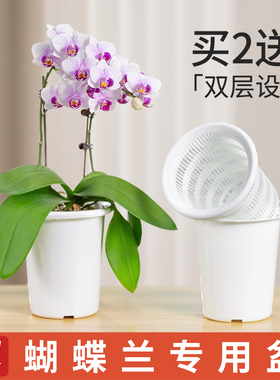 美莳养蝴蝶兰专用花盆塑料透气控根网杯君子兰文心兰石斛双层套盆