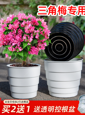 美莳三角梅专用控根花盆树脂塑料透气特大号适合叶子红樱老桩盆景