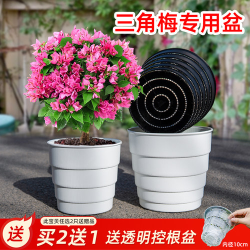 三角梅专用花盆透气控根