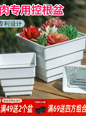 美莳控根多肉花盆大口径塑料肉肉石斛万象方形大小号专用透气花盆