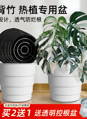 美莳龟背竹天堂鸟专用控根花盆树脂塑料大号透气防烂根青山大口径