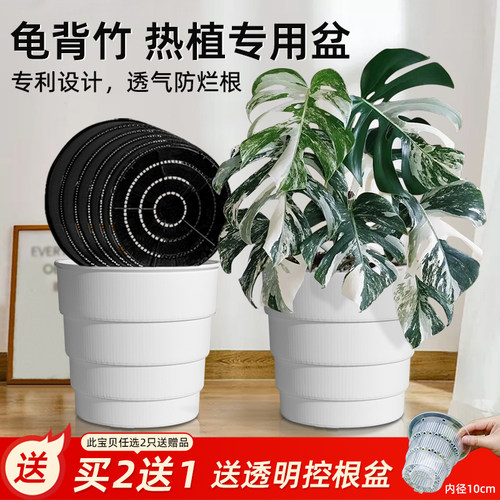 美莳龟背竹专用控根花盆透气树脂