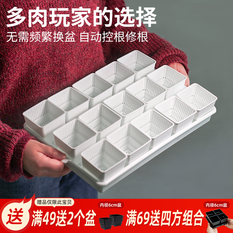 美莳多肉控根花盆塑料长条型组合