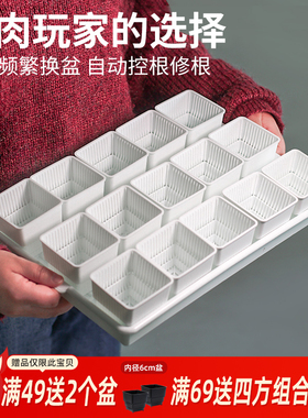 美莳多肉控根花盆植物叶插育苗盆器塑料套装组合长条形肉肉小花盆