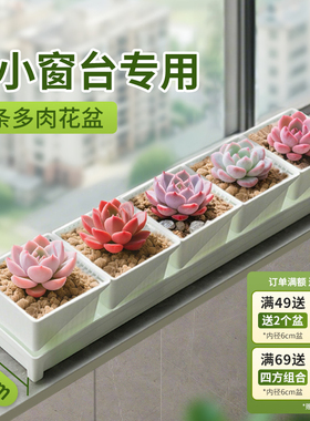 美莳长条形多肉花盆超窄窗台阳台套装组合透气植物控根塑料带托盘