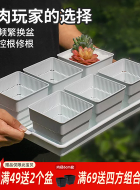 美莳多肉控根花盆带托盘大号塑料创意透气肉肉植物长条形套装组合