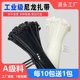 自锁式 尼龙扎带4 200 扎线带捆扎带固定塑料卡扣电线绑带白色收纳