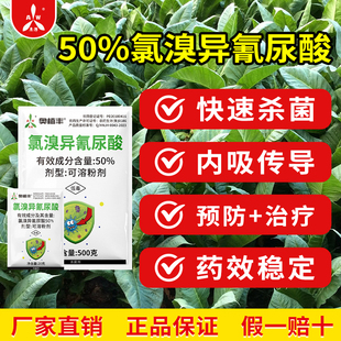 奥潍奥丰氯溴异氰尿酸杀菌广谱预防治疗病毒病高含量老牌子农药