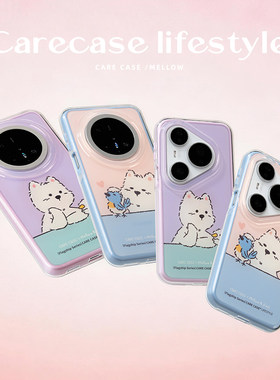 CARECASE发小呆/逗小鸟二合一壳