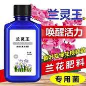 兰灵王营养液体肥壮苗植物君子兰蝴蝶兰微生物菌肥花促活化剂活根