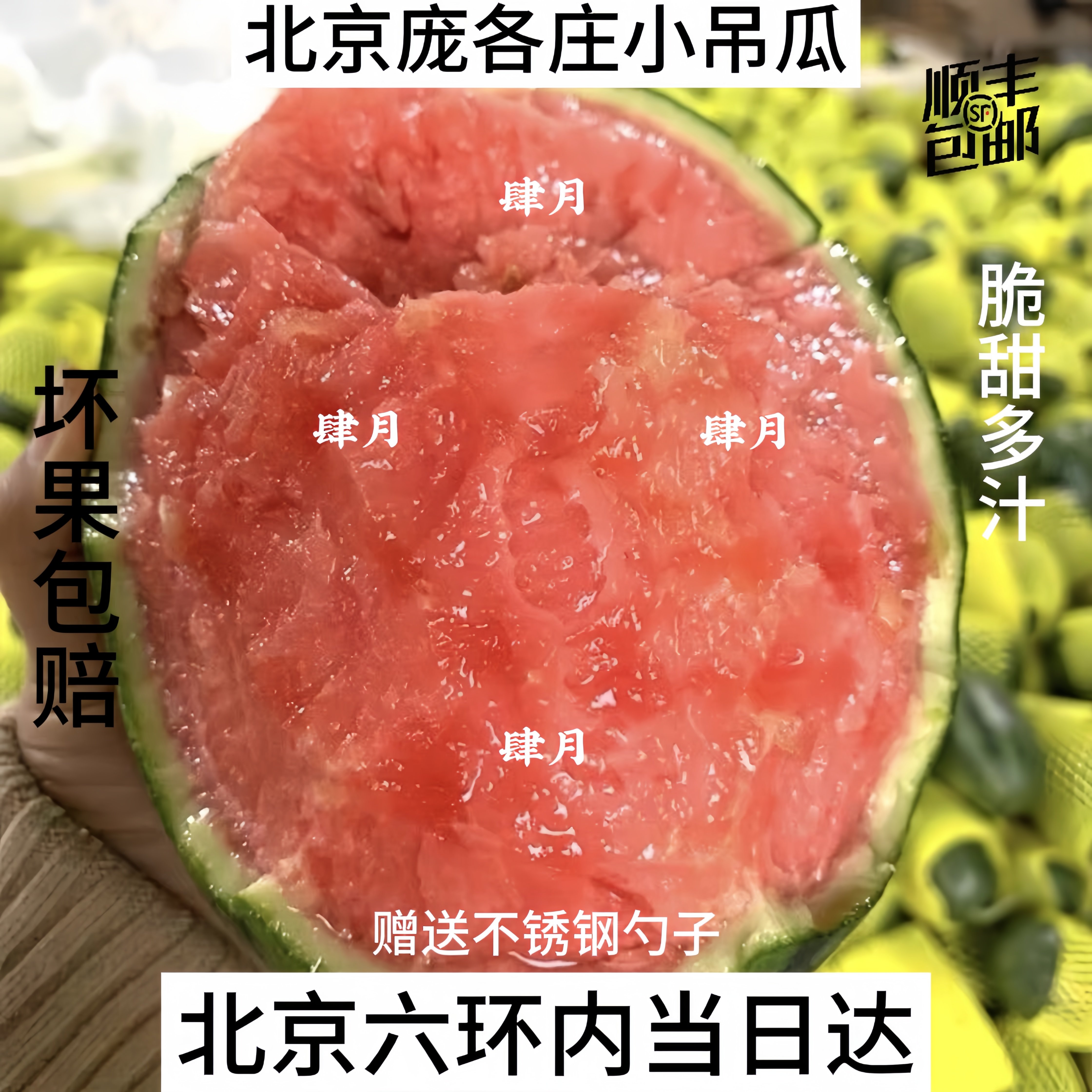 【肆月】当季大兴庞各庄小西瓜L600头茬薄皮新鲜吊瓜水果小糖丸