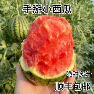 顺丰当季大兴庞各庄小西瓜L600头茬吊瓜水果水果小糖丸西瓜