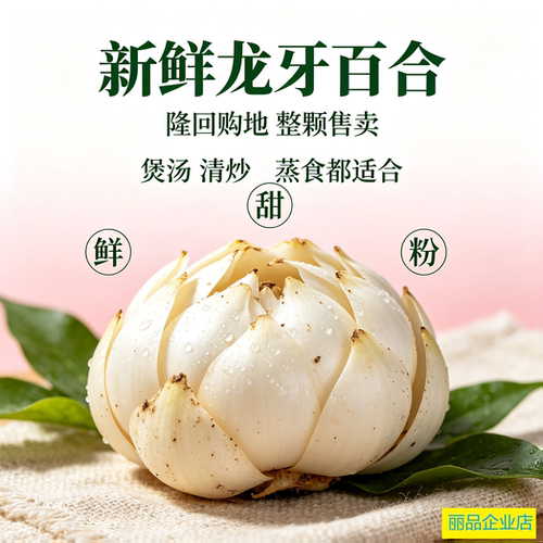 正宗隆回龙牙鲜百合整颗现挖无硫粉糯润喉煲汤煮粥新鲜食用百合